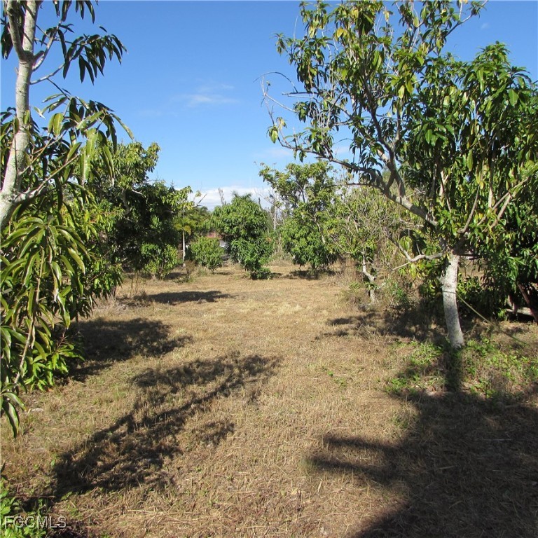 8390 Stringfellow Road St. James City, FL 33956 - Photo 10 of 25 a view of dirt field with trees