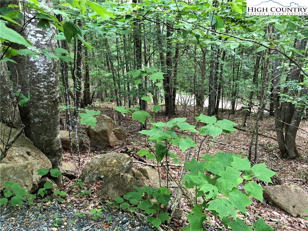 136 Arrowhead Road Beech Mountain, NC 28604 - Photo 1 of 3