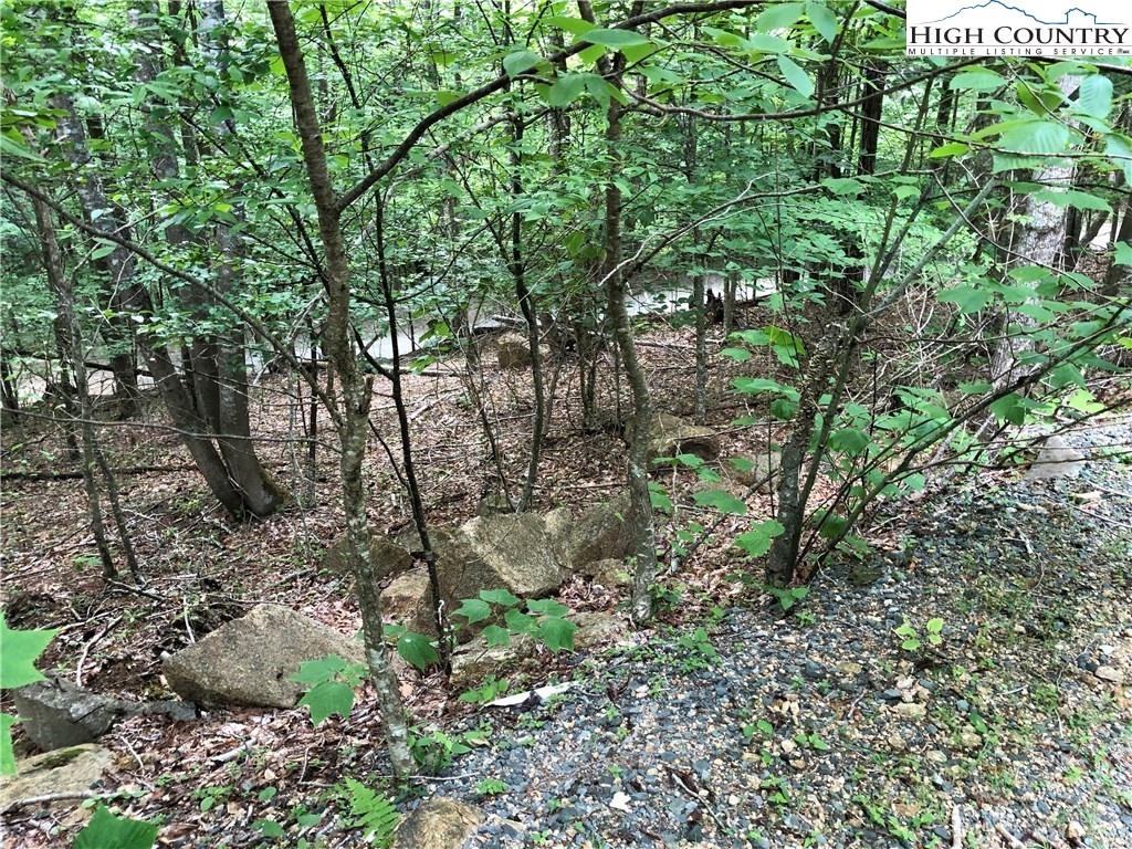 136 Arrowhead Road Beech Mountain, NC 28604 - Photo 2 of 3