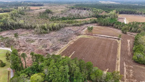 $329,000 | Tbd Francis Gibson Road, Marion, SC 29571