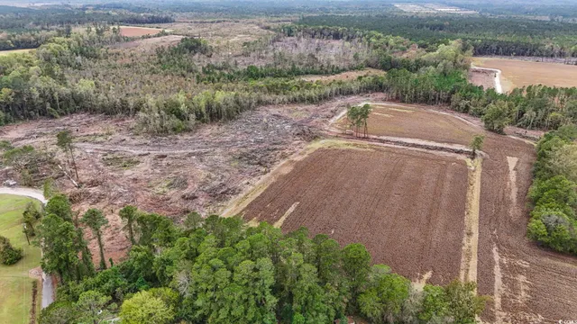 $349,000 | Tbd Francis Gibson Road, Marion, SC 29571