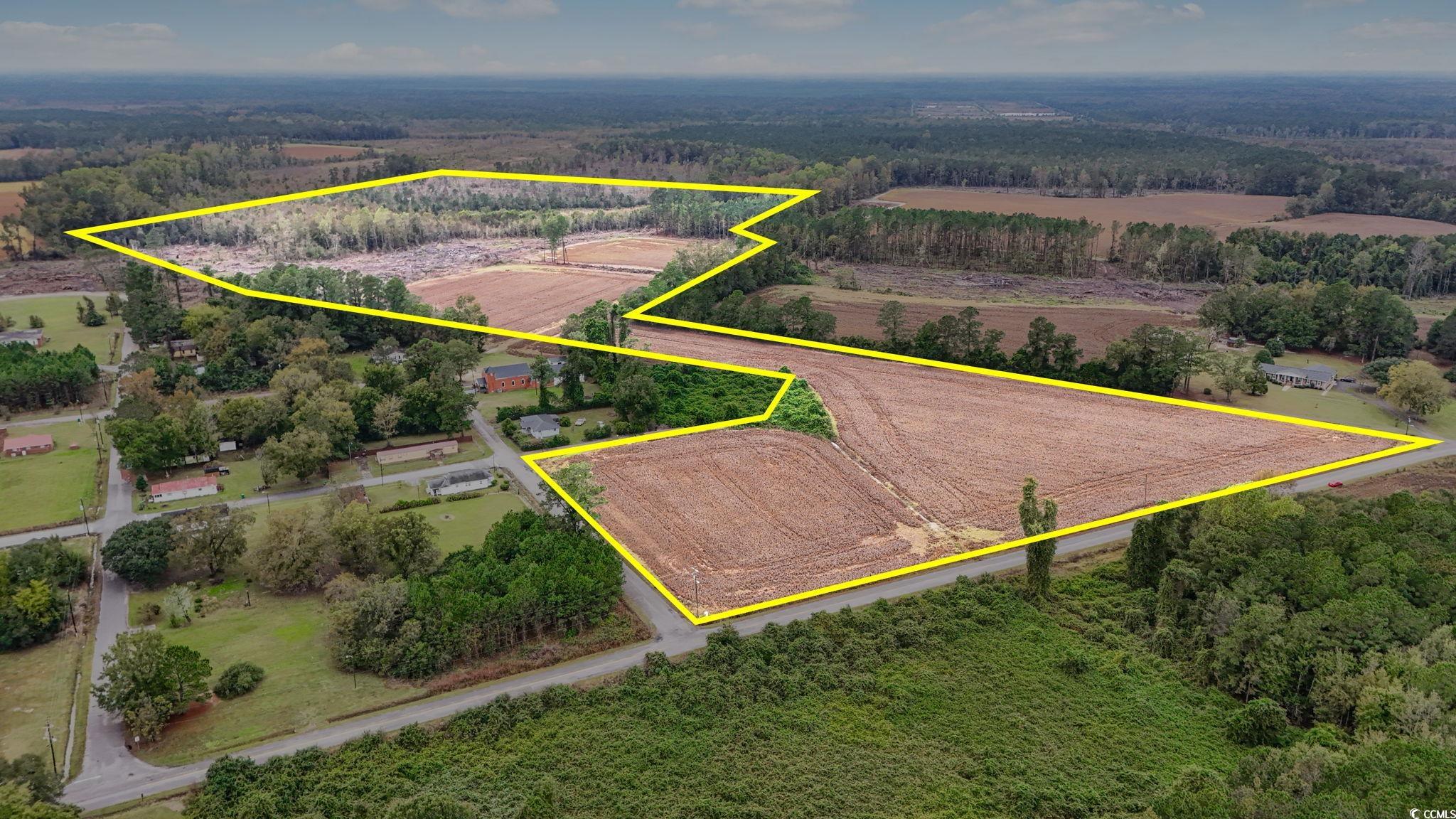 Tbd Francis Gibson Road Marion, SC 29571 - Photo 2 of 11