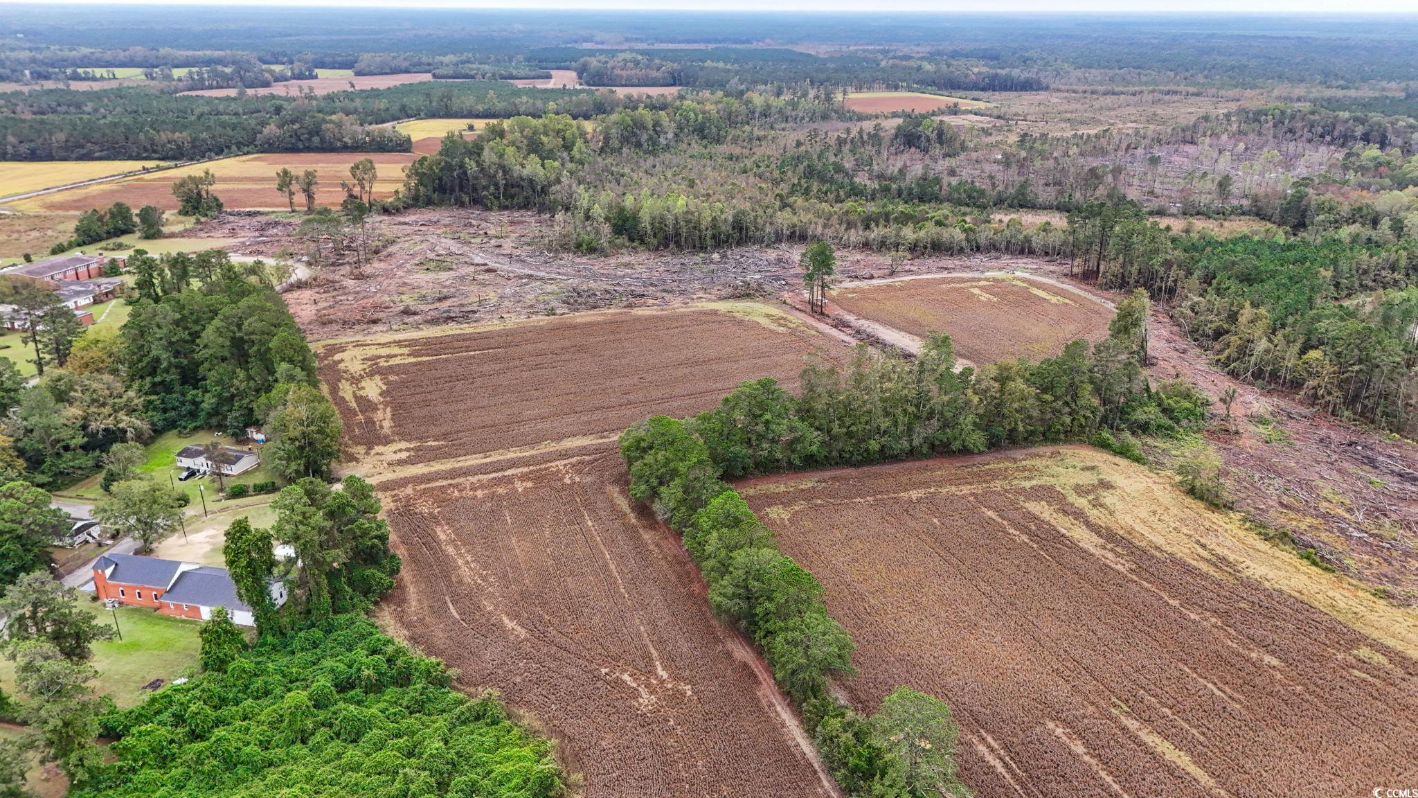 Tbd Francis Gibson Road Marion, SC 29571 - Photo 3 of 11