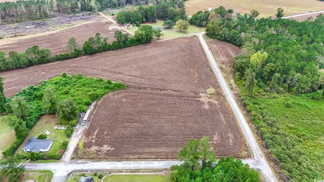 $349,000 | Tbd Francis Gibson Road, Marion, SC 29571