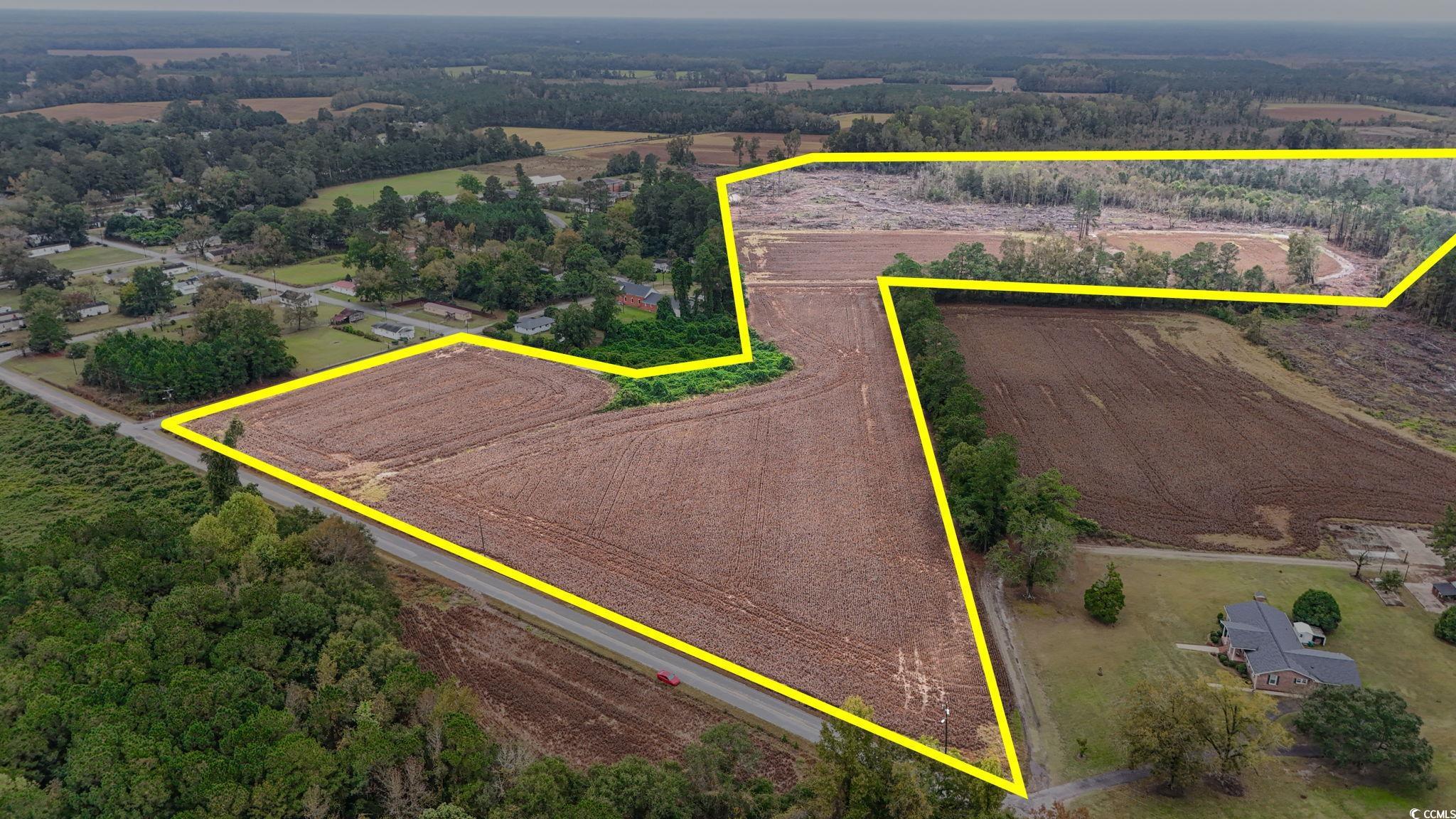 Tbd Francis Gibson Road Marion, SC 29571 - Photo 5 of 11