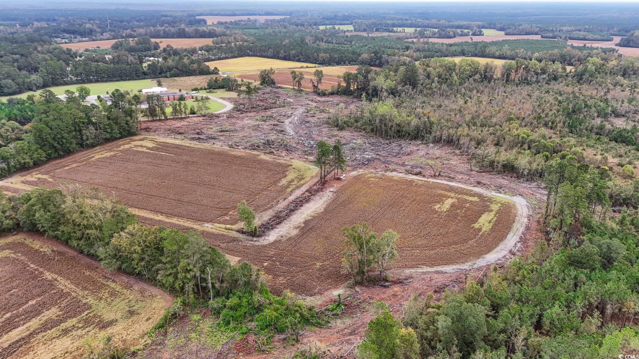 Tbd Francis Gibson Road Marion, SC 29571 - Photo 7 of 11