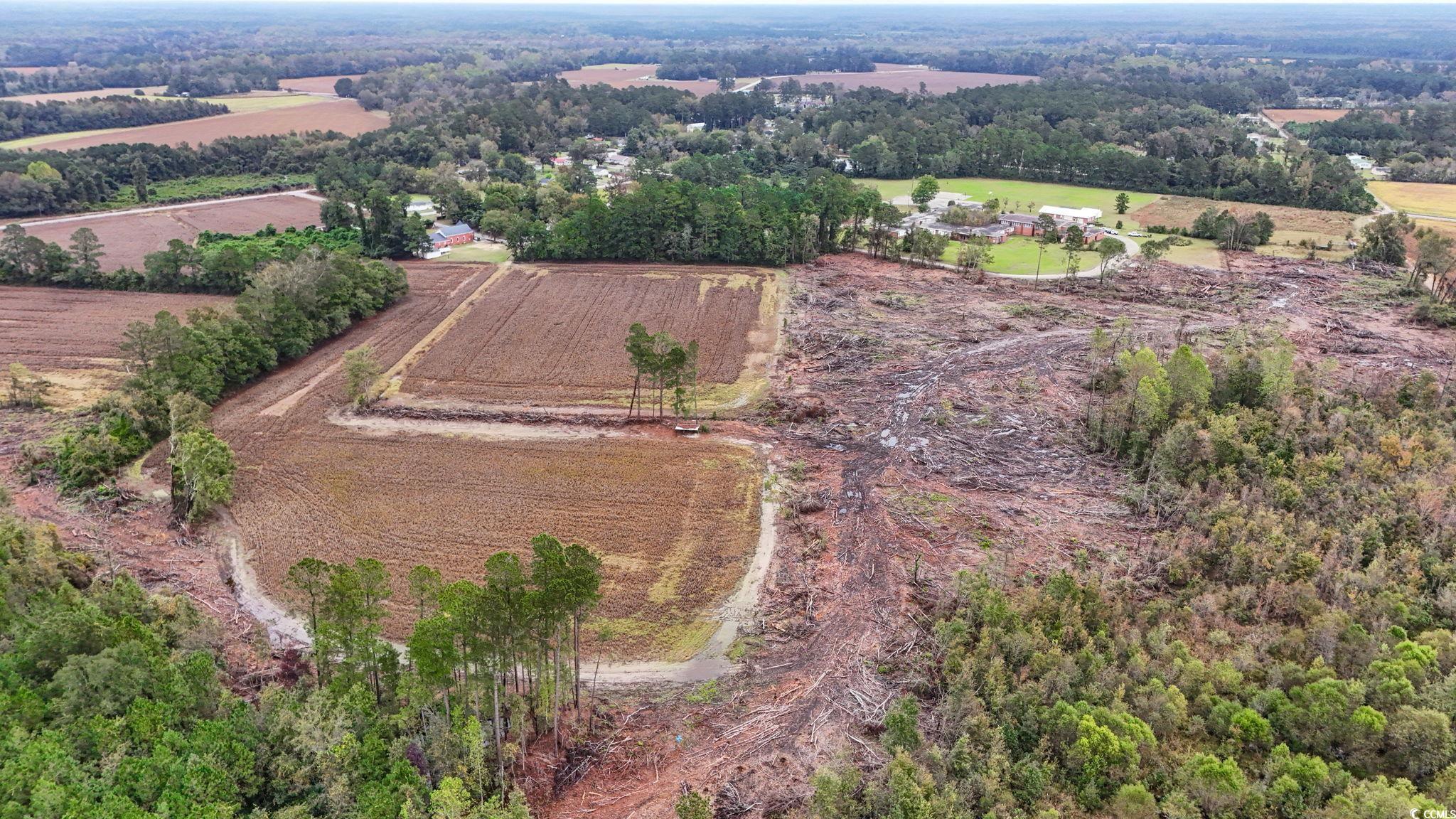 Tbd Francis Gibson Road Marion, SC 29571 - Photo 8 of 11