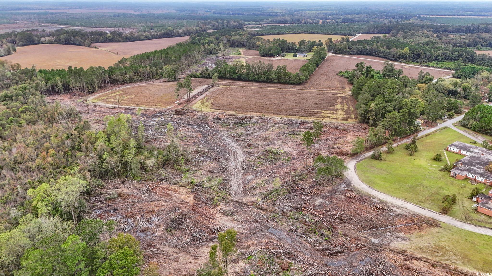 Tbd Francis Gibson Road Marion, SC 29571 - Photo 9 of 11