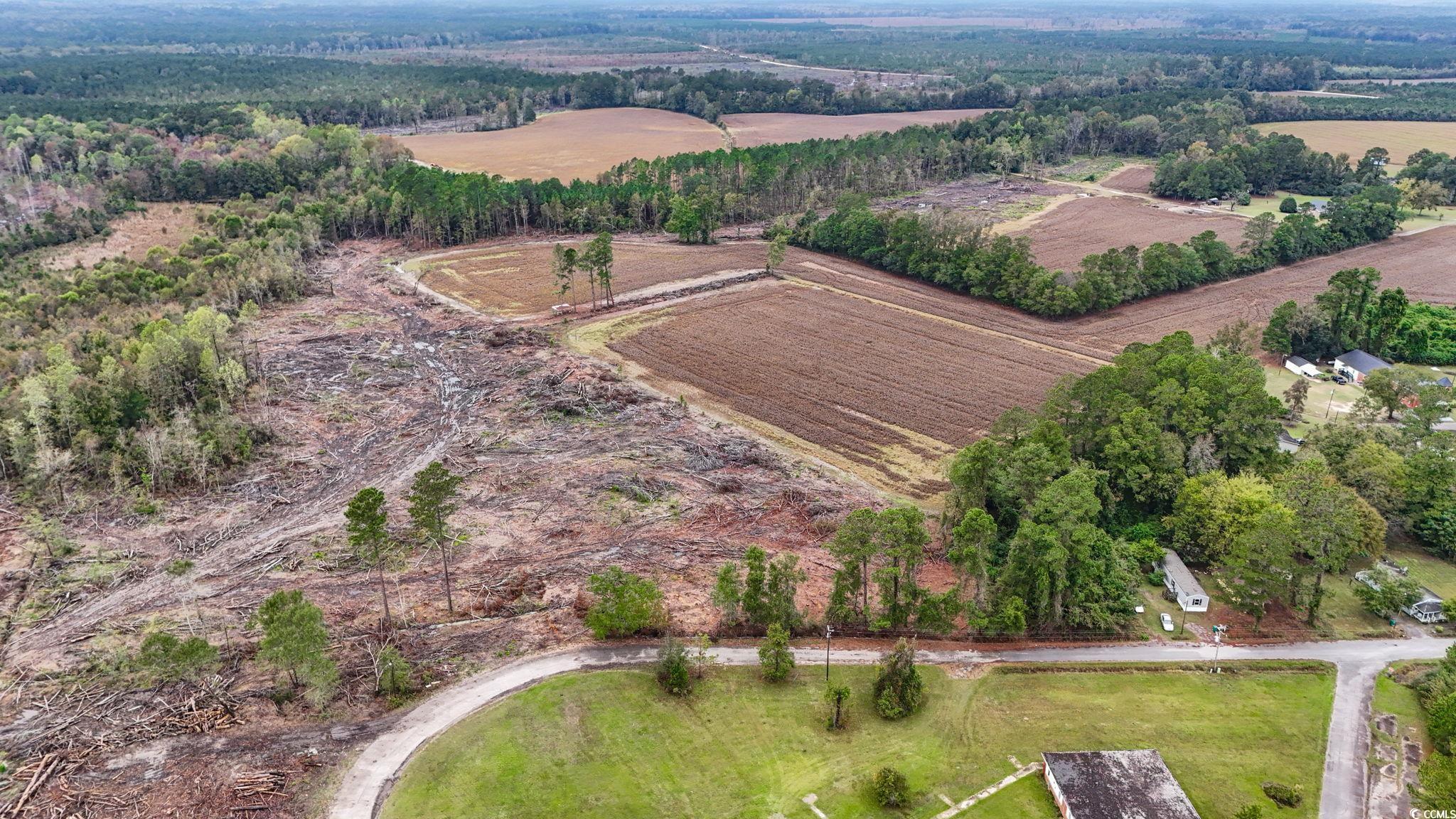Tbd Francis Gibson Road Marion, SC 29571 - Photo 10 of 11