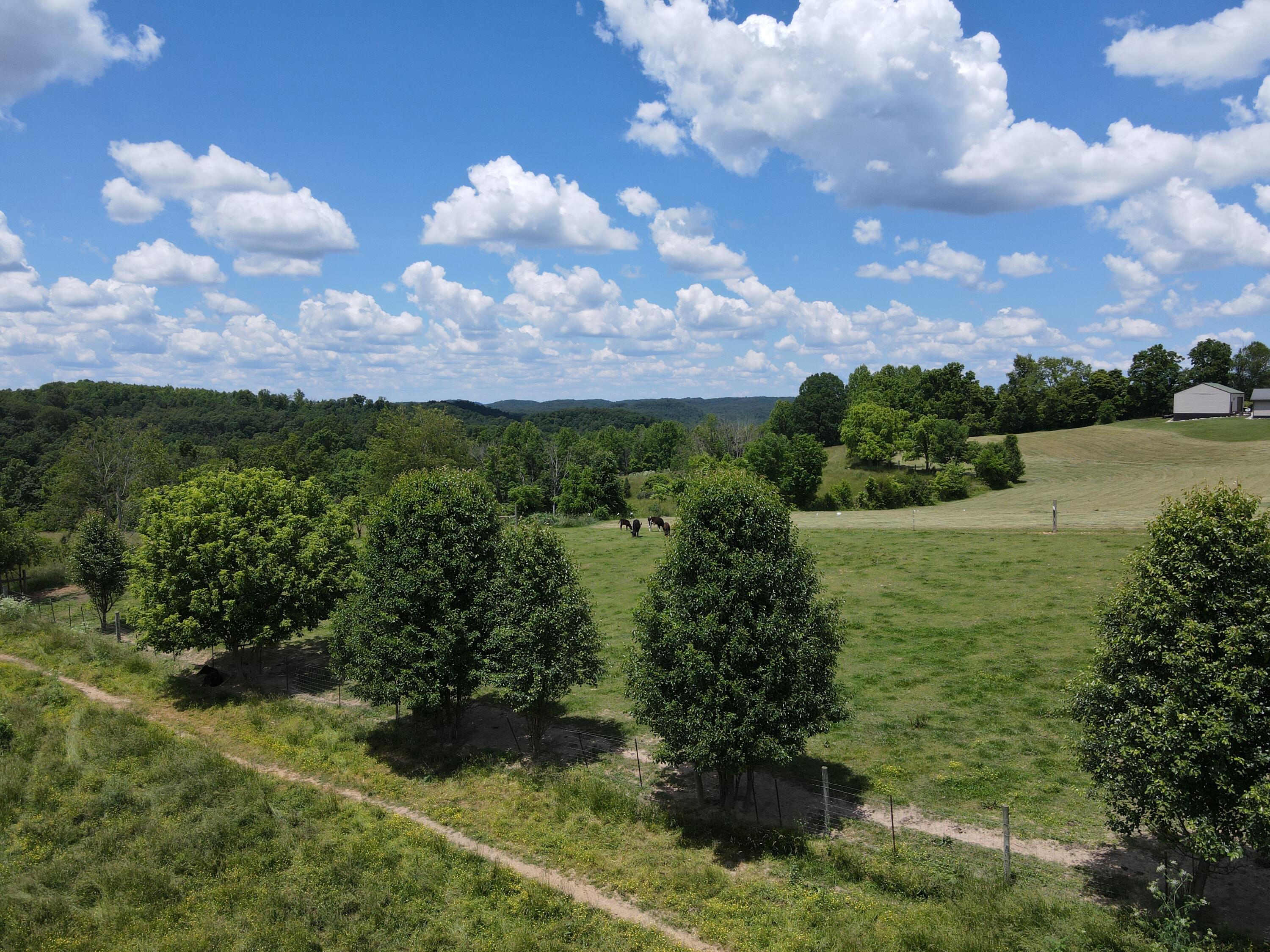 9999 Chestnut Grove Road Brodhead, KY 40409 - Photo 59 of 67 3795F7A2-886D-46CD-9AA2-10D63E8267D2
