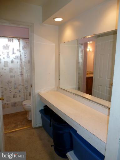 3913 Bryony Road Randallstown, MD 21133 - Photo 4 of 20 Bedroom (Master) Vanity