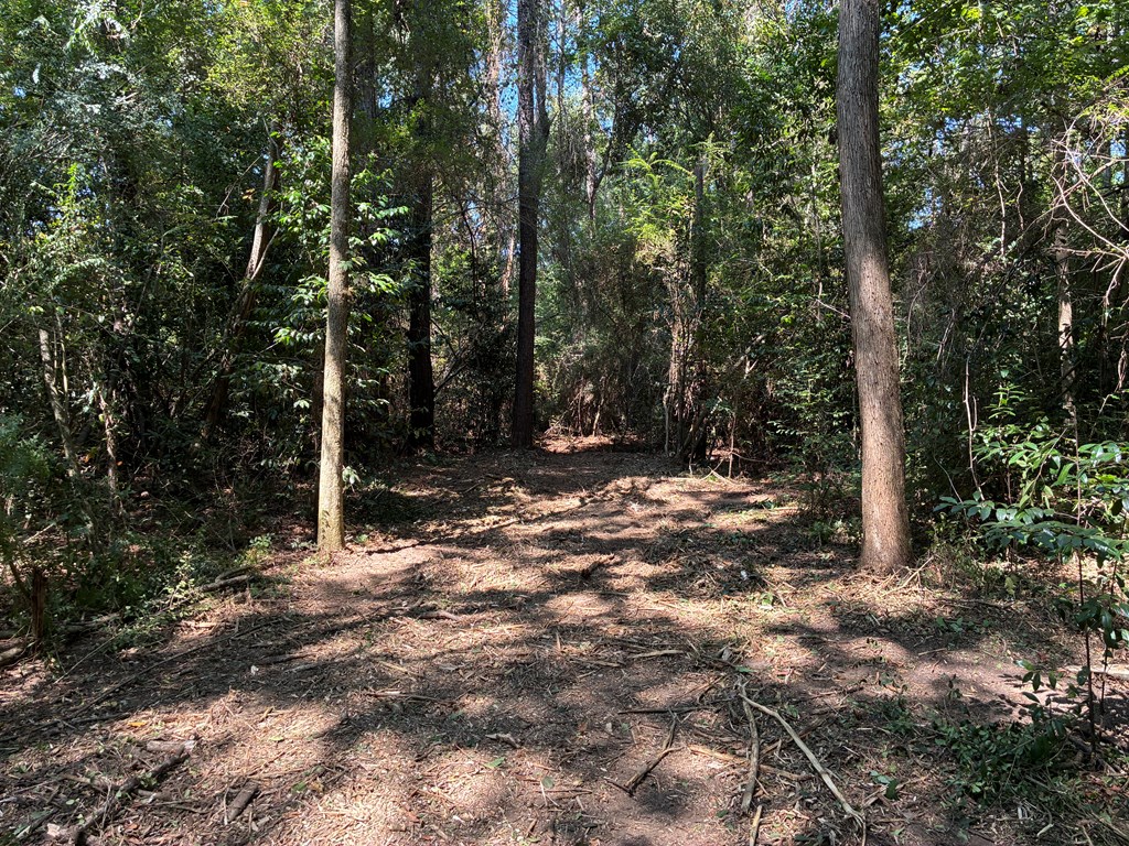 Lot 3 Hampton Way Dothan, AL 36305 - Photo 9 of 11