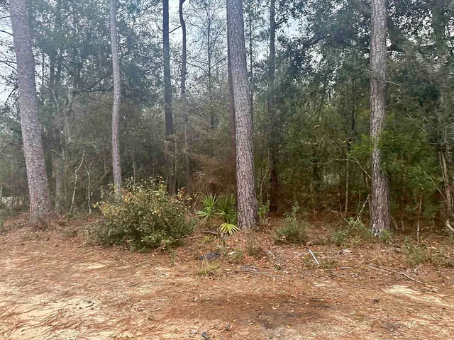$20,000 | Blountstown Highway, Tallahassee, FL 32310