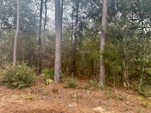 $20,000 | Blountstown Highway, Tallahassee, FL 32310