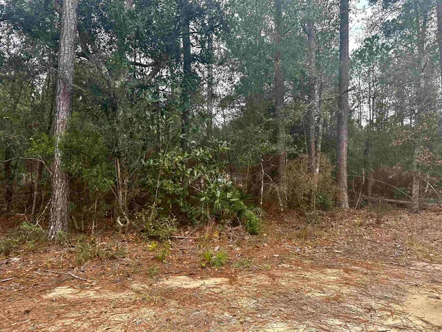 $20,000 | Blountstown Highway, Tallahassee, FL 32310