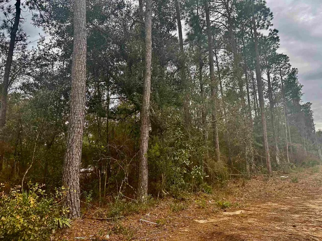 $20,000 | Blountstown Highway, Tallahassee, FL 32310