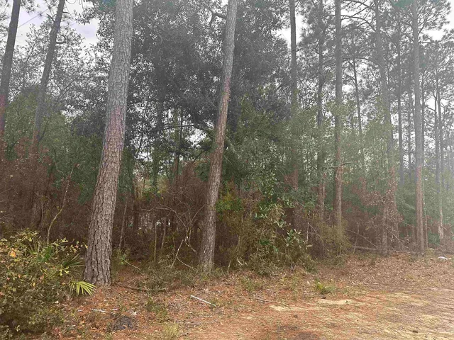 $20,000 | Blountstown Highway, Tallahassee, FL 32310