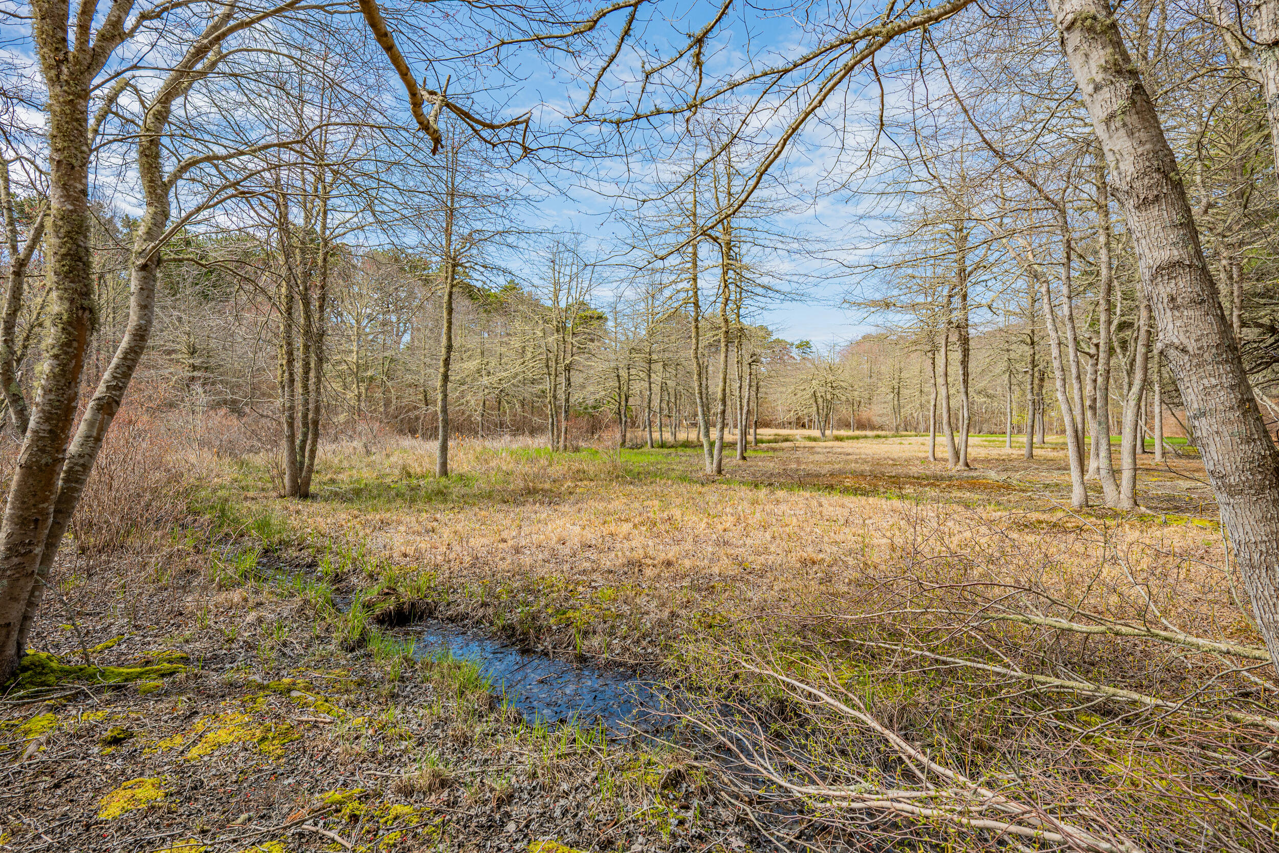 40 Uncle Nate's Way Eastham, MA 02642 - Photo 50 of 58 48