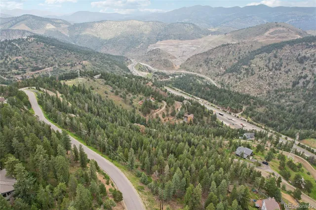 a view of a garden with a tree