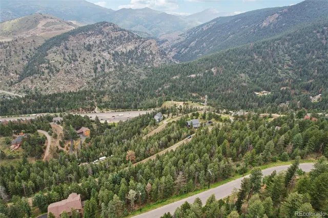 a close up of a plant