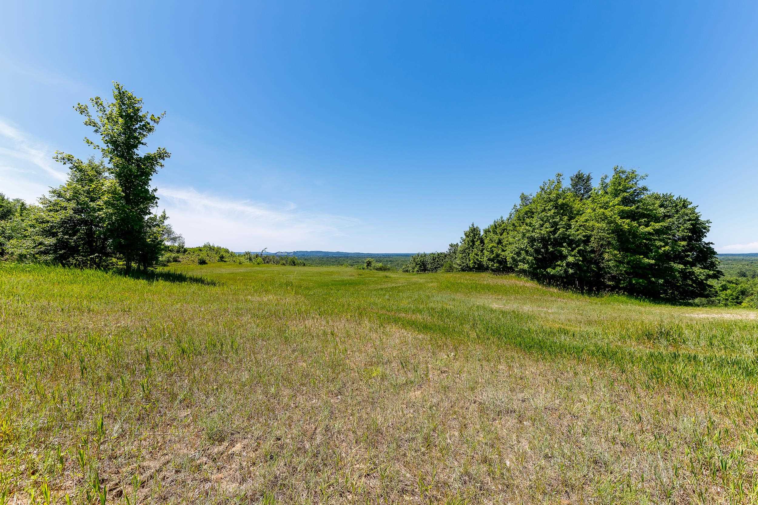 0 Nessen City Road Copemish, MI 49625 - Photo 11 of 17