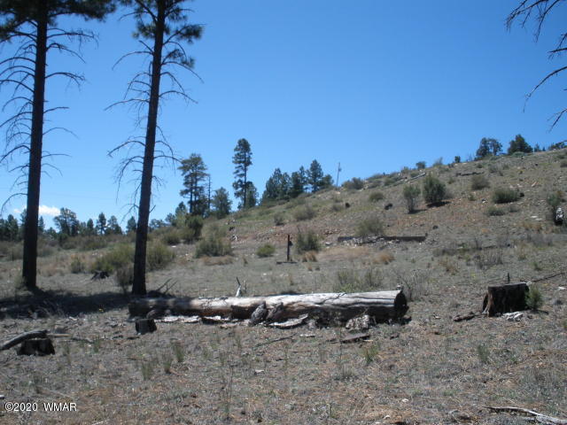 1839 Cliffview Road Heber, AZ 85928 - Photo 1 of 9 a view of a backyard with wooden fence