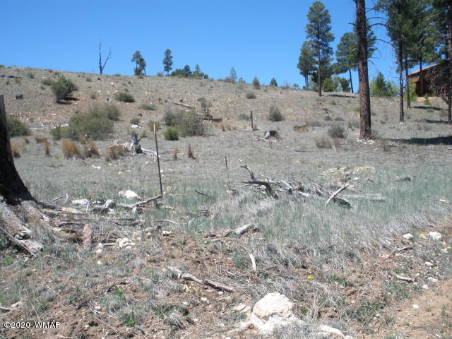 1839 Cliffview Road Heber, AZ 85928 - Photo 2 of 9 a view of a dry dry yard with trees in the background