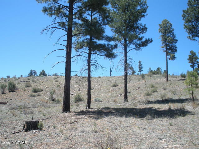 1839 Cliffview Road Heber, AZ 85928 - Photo 3 of 9 a view of a road with a tree in the background