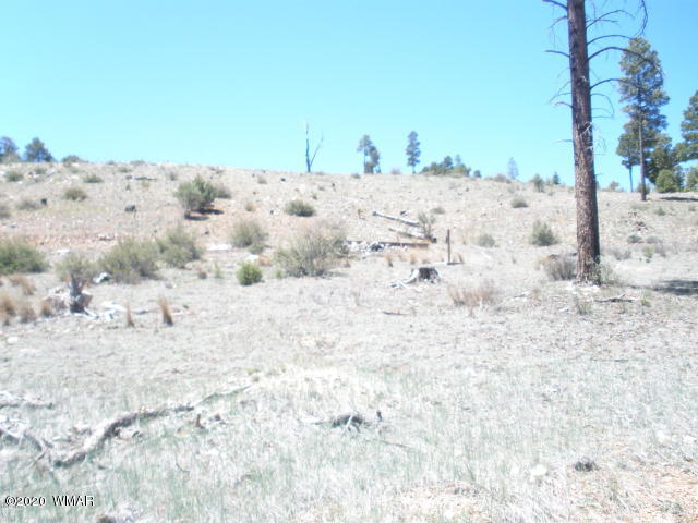 1839 Cliffview Road Heber, AZ 85928 - Photo 4 of 9 a view of snow on the beach
