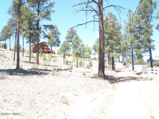 1839 Cliffview Road Heber, AZ 85928 - Photo 6 of 9 a view of a yard with snow on the road