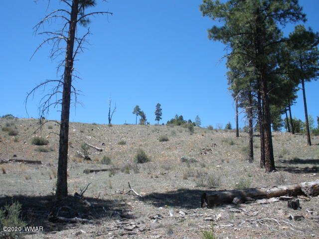 1839 Cliffview Road Heber, AZ 85928 - Photo 8 of 9 a view of a yard with a tree