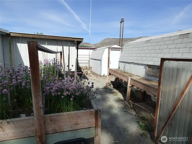 a green field with trees in the background