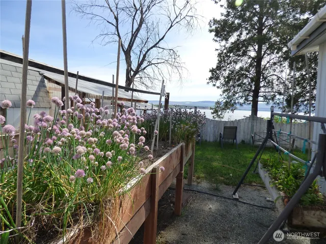 a view of a backyard