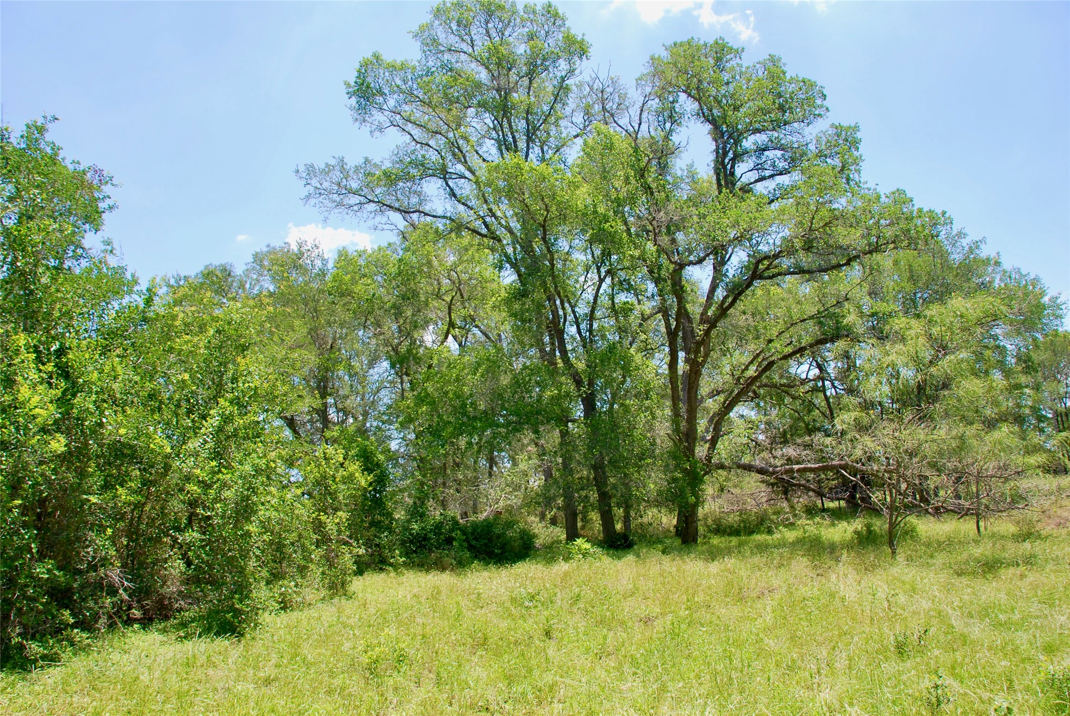 2340 Langdon Road Weimar, TX 78962 - Photo 19 of 26