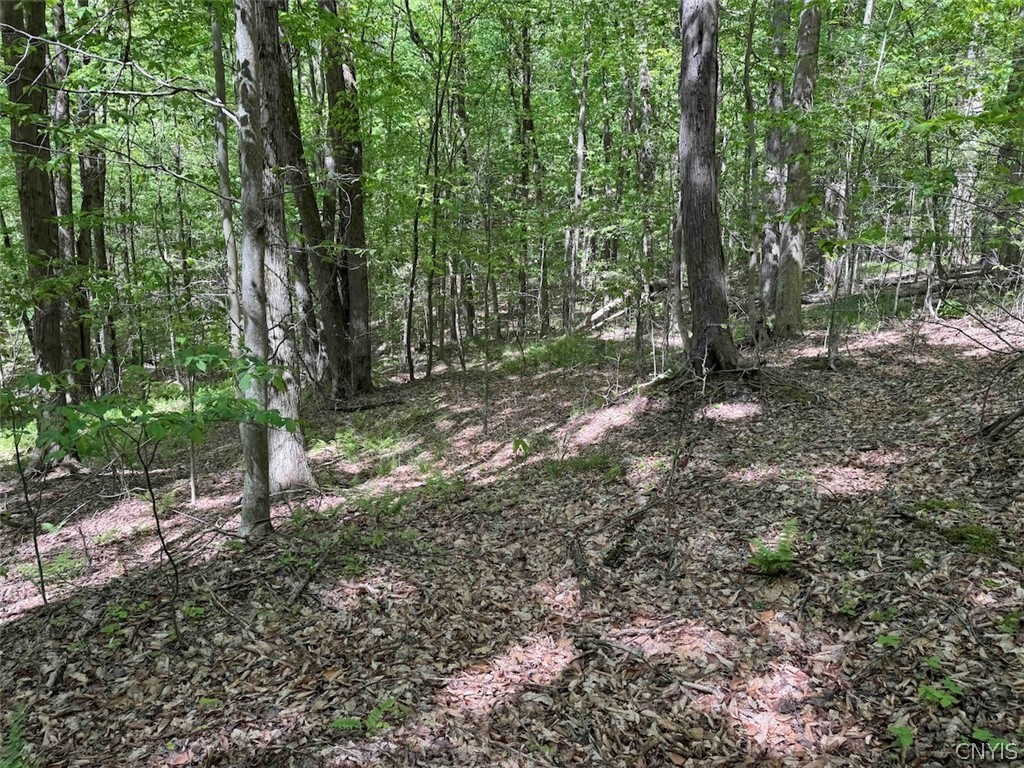 774 Bent Dipper Road Genesee, NY 14721 - Photo 39 of 46