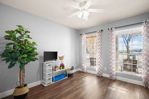 a living room with furniture and a potted plant