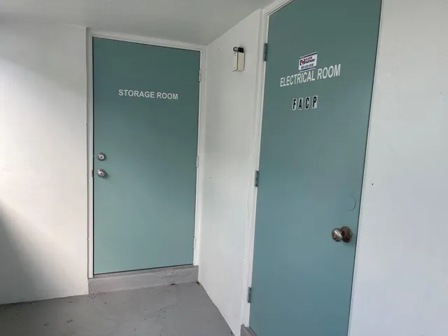 a view of a garden with plants and a bench