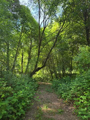 $62,000 | 0 Greenwood Road, Garden Valley, CA 95633