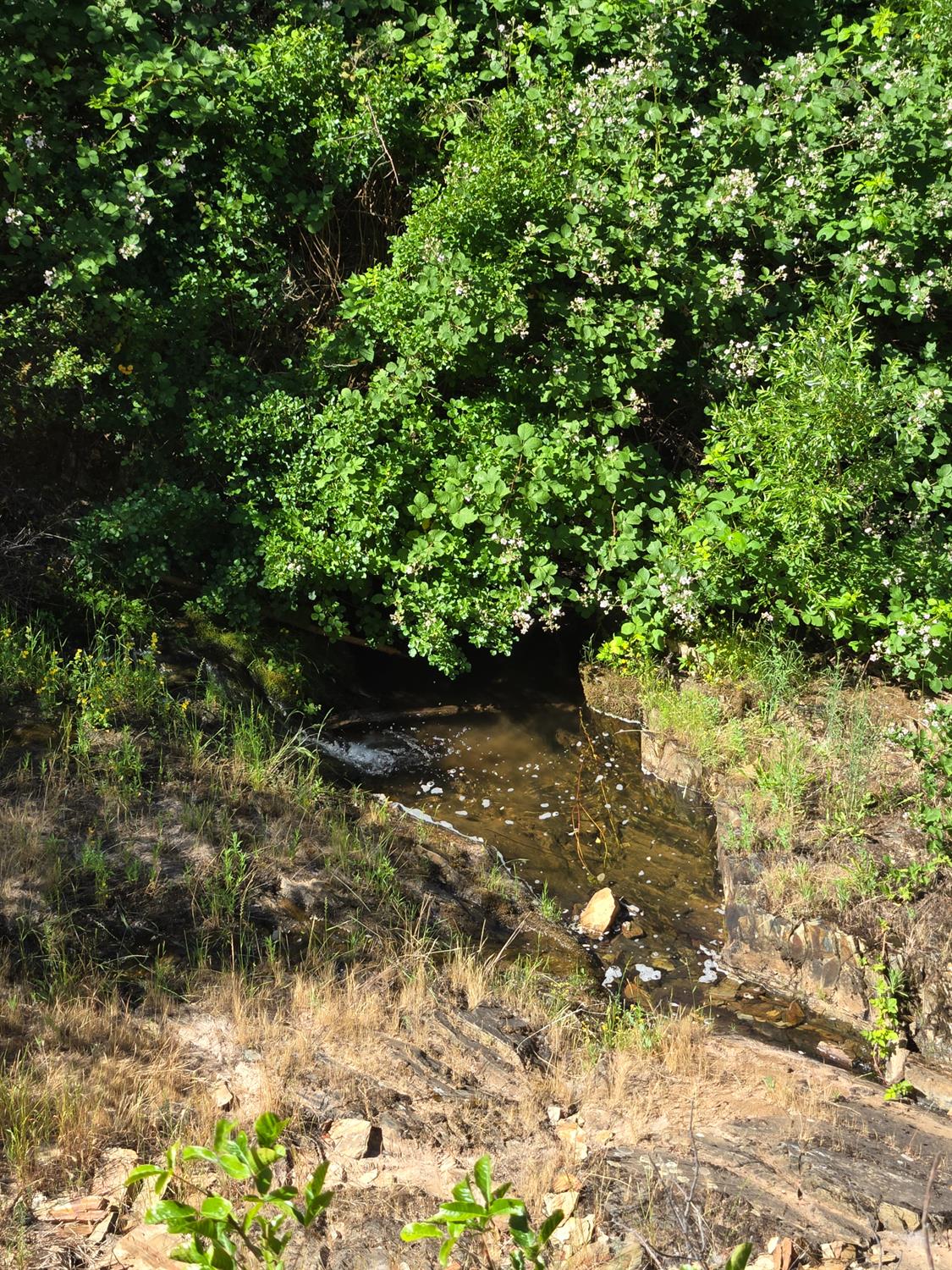 0 Greenwood Road Garden Valley, CA 95633 - Photo 11 of 12