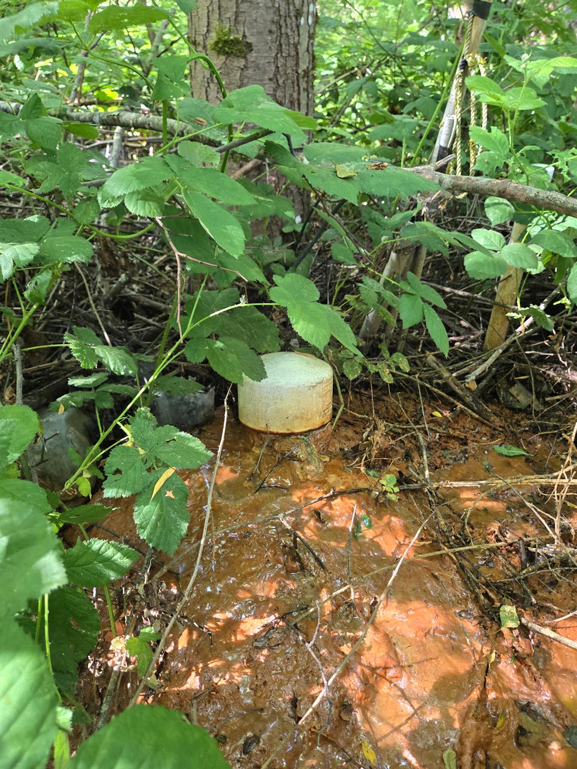 0 Greenwood Road Garden Valley, CA 95633 - Photo 3 of 12