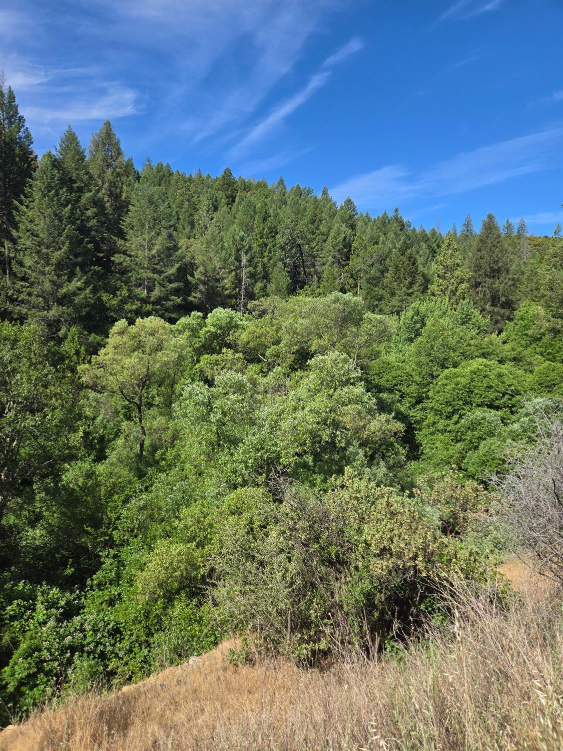 0 Greenwood Road Garden Valley, CA 95633 - Photo 4 of 12