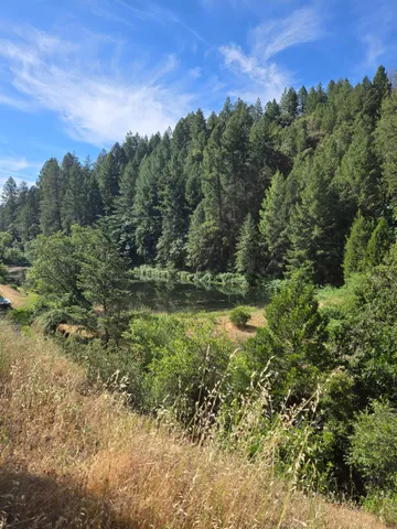 a view of a green field with lots of bushes
