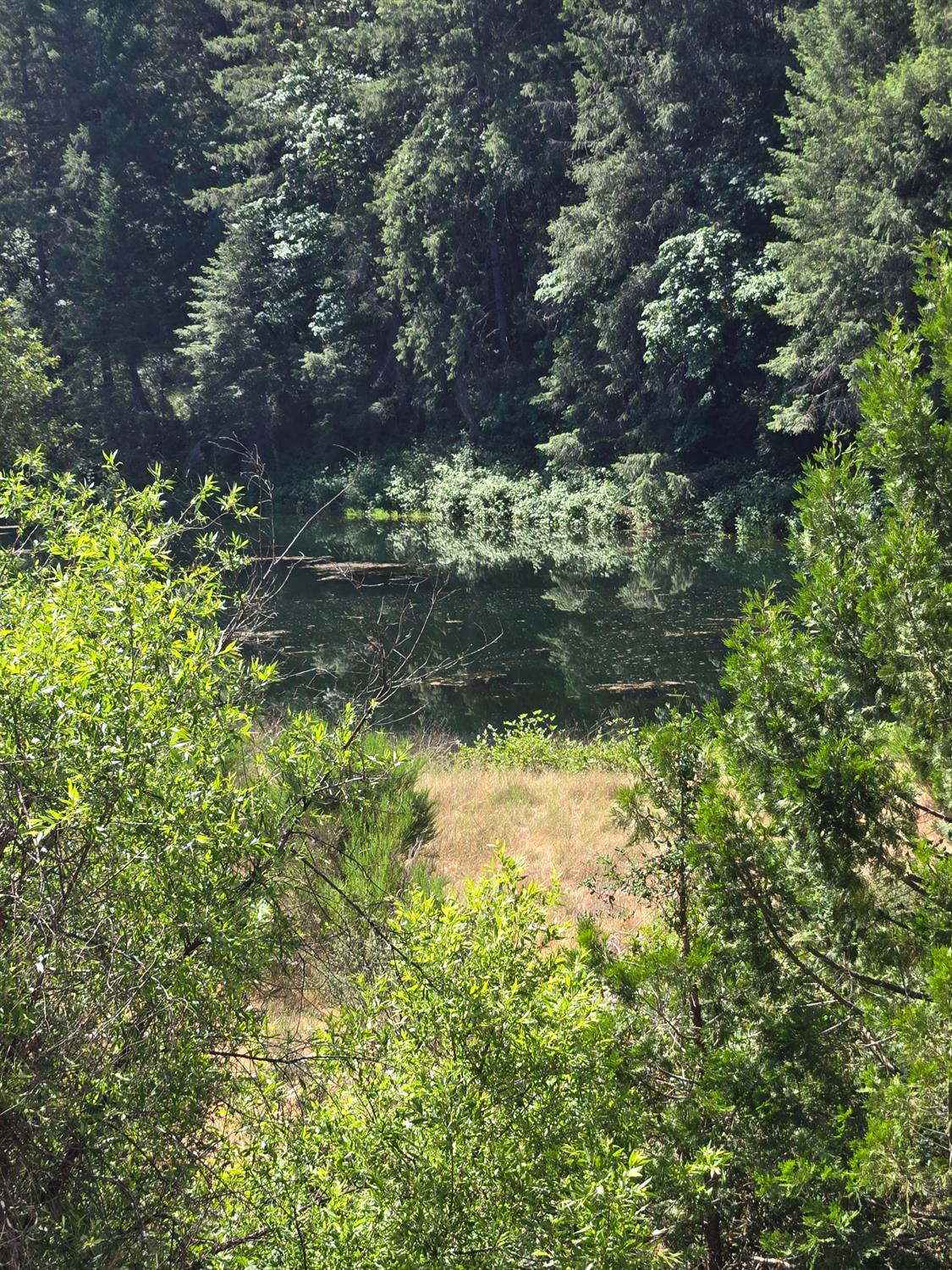 0 Greenwood Road Garden Valley, CA 95633 - Photo 6 of 12