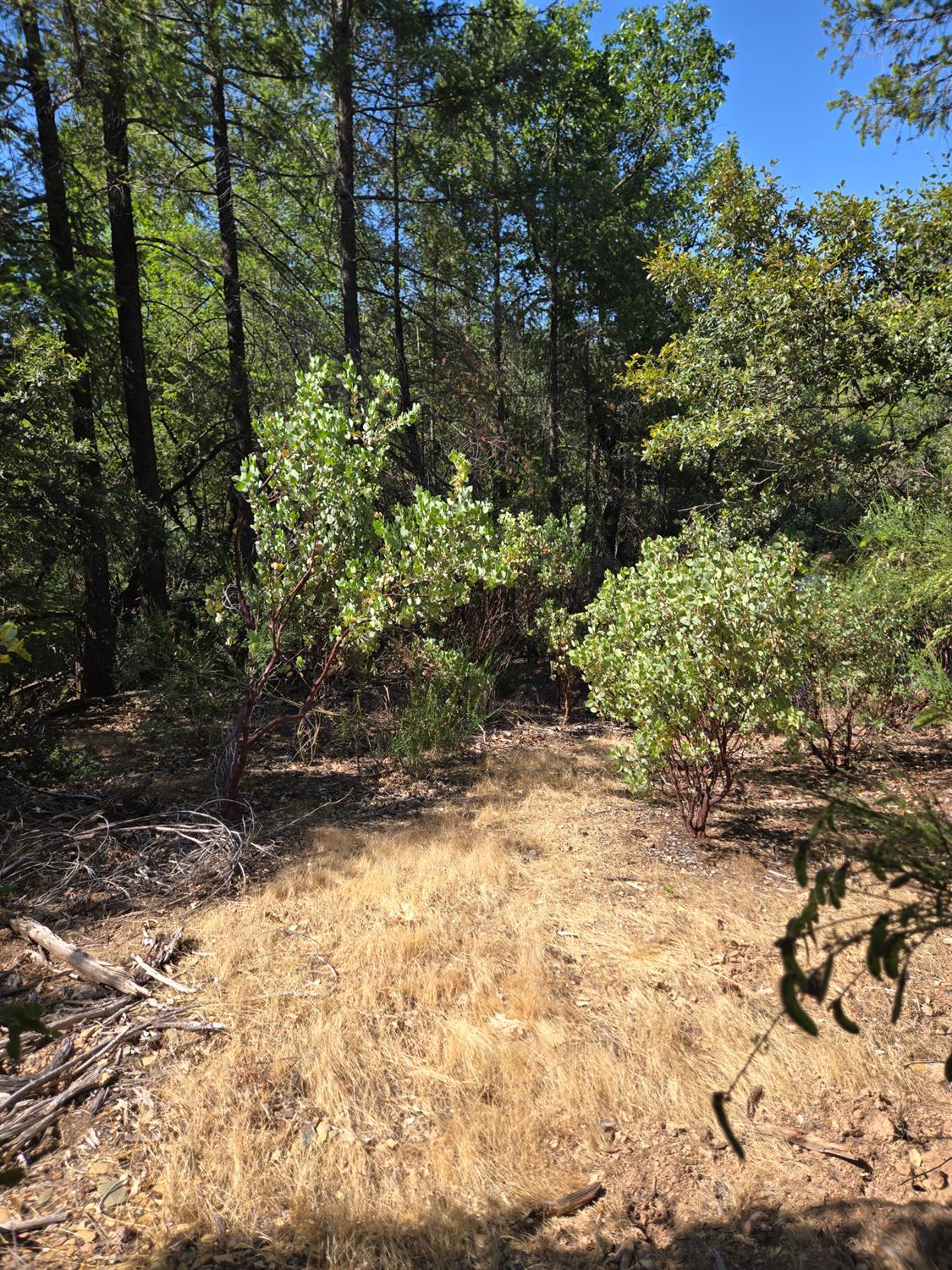 0 Greenwood Road Garden Valley, CA 95633 - Photo 7 of 12