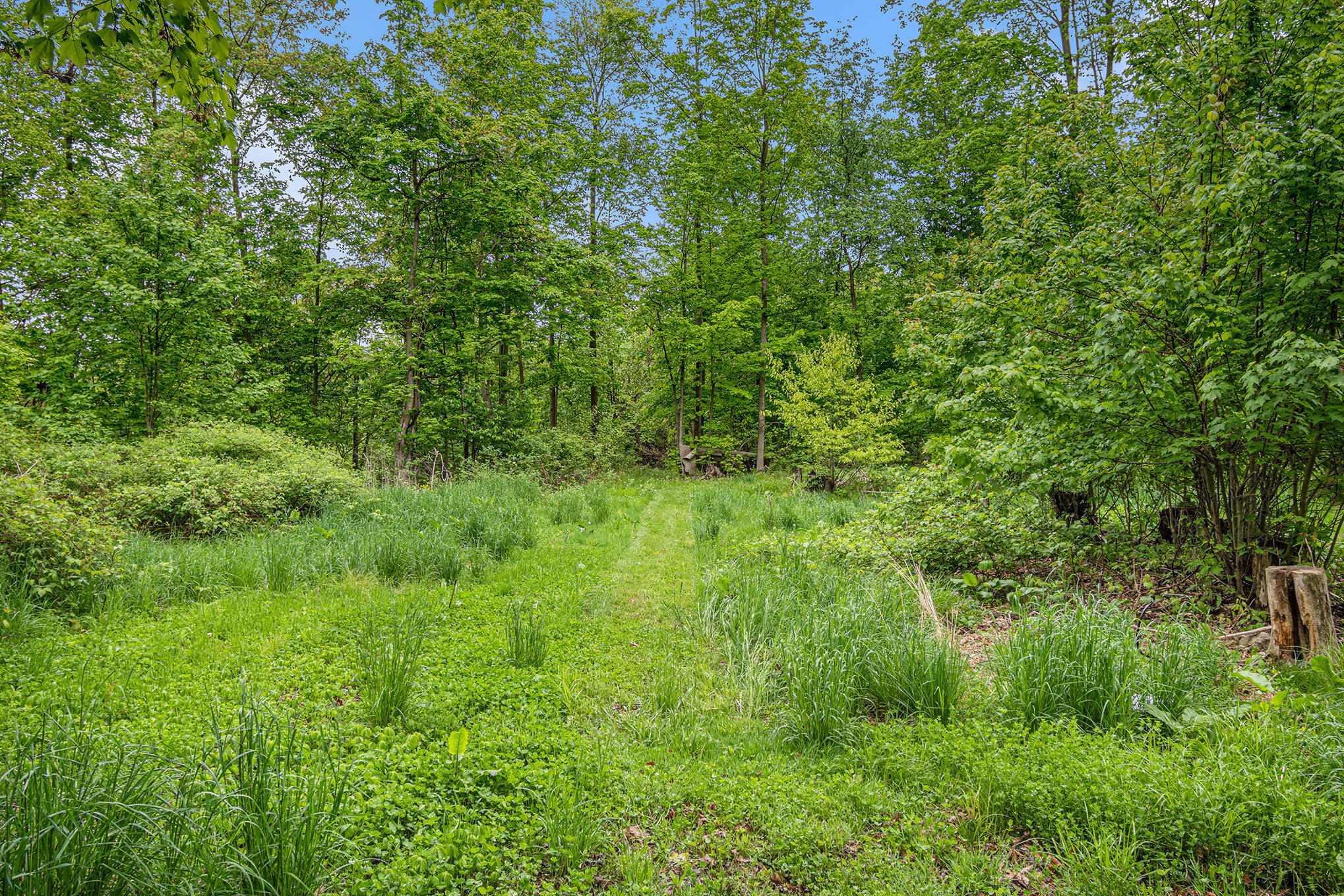 13085 East Englewright Drive Sand Lake, MI 49343 - Photo 53 of 65 035_wtm_0053_629