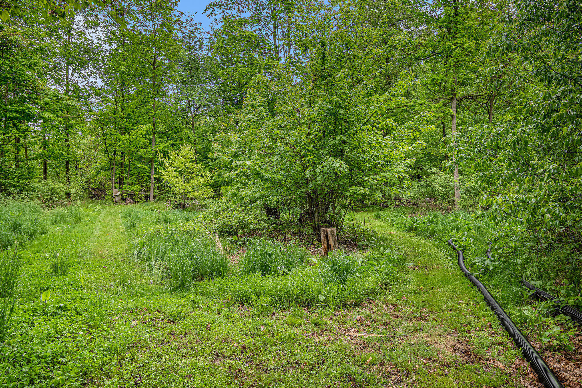 13085 East Englewright Drive Sand Lake, MI 49343 - Photo 54 of 65 036_wtm_0054_620