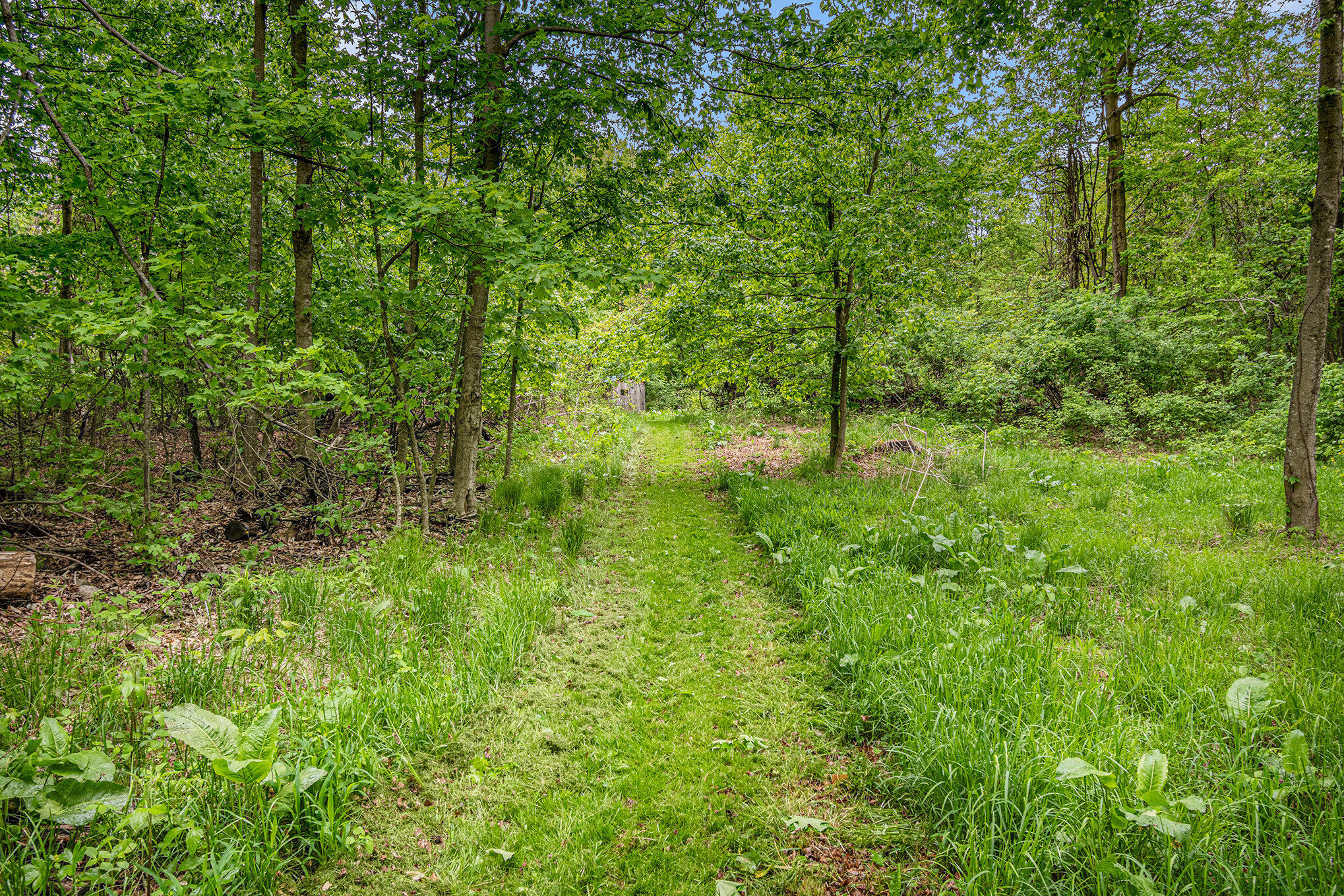 13085 East Englewright Drive Sand Lake, MI 49343 - Photo 55 of 65 037_wtm_0055_450