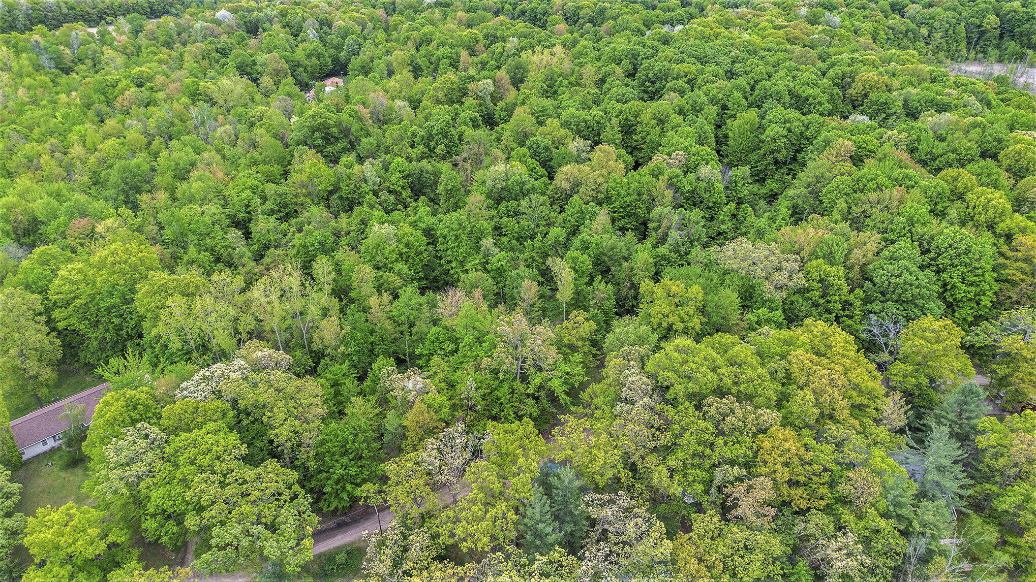 13085 East Englewright Drive Sand Lake, MI 49343 - Photo 58 of 65 040_file_576