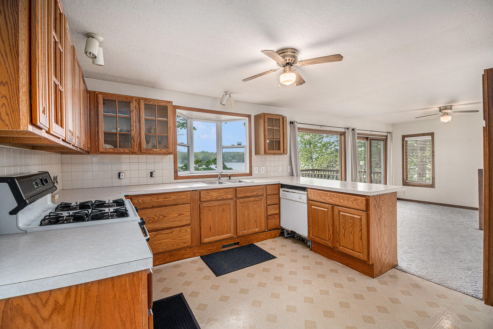 13085 East Englewright Drive Sand Lake, MI 49343 - Photo 7 of 65 009_wtm_0021_447