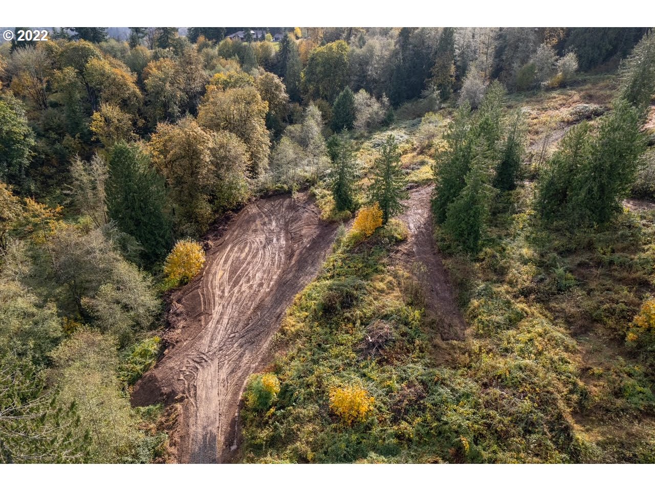 0 Deal Road Rainier, OR 97048 - Photo 4 of 9 a view of a forest with a forest